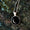 meteor necklace in rose gold